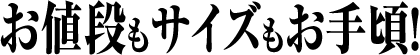 お値段もサイズもお手頃.gif
