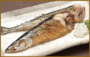さんまの塩焼き_罫枠.jpg